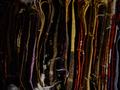 dsc03580.jpg