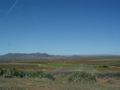 dsc03601.jpg