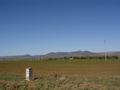 dsc03602.jpg