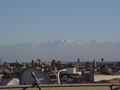 dsc03650.jpg