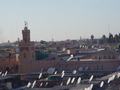 dsc03651.jpg