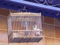 dsc03662.jpg