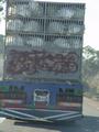 dsc03692.jpg
