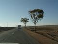dsc03693.jpg