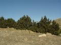 dsc03713.jpg