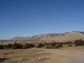 dsc03716.jpg
