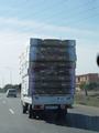 dsc03761.jpg