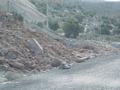 dsc03793.jpg
