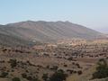 dsc03797.jpg