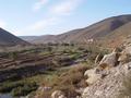 dsc03839.jpg