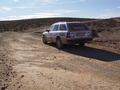 dsc03878.jpg