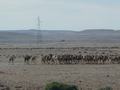 dsc03898.jpg