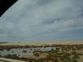 dsc03916.jpg