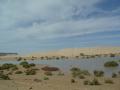 dsc03917.jpg