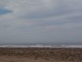 dsc03938.jpg