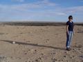 dsc03987.jpg