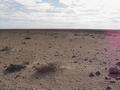 dsc03990.jpg