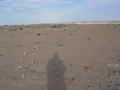 dsc03996.jpg