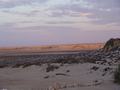 dsc04015.jpg