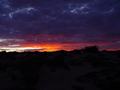 dsc04021.jpg