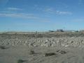 dsc04035.jpg
