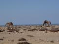 dsc04073.jpg