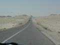 dsc04118.jpg