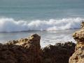 dsc04140.jpg
