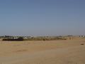 dsc04142.jpg