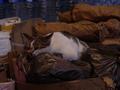 dsc04154.jpg