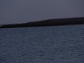 dsc04170.jpg
