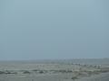 dsc04193.jpg