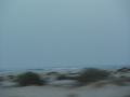 dsc04199.jpg