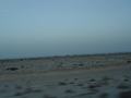 dsc04200.jpg