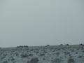 dsc04205.jpg