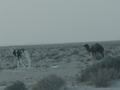 dsc04207.jpg