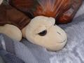 dsc04218.jpg