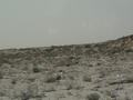 dsc04236.jpg