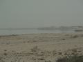 dsc04251.jpg