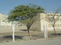 dsc04273.jpg