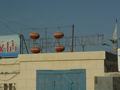 dsc04276.jpg