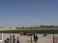 dsc04334.jpg
