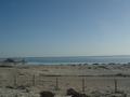 dsc04377.jpg
