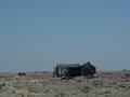dsc04382.jpg
