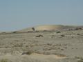 dsc04384.jpg