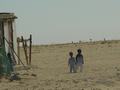 dsc04394.jpg