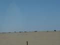 dsc04408.jpg