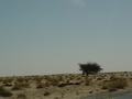 dsc04409.jpg
