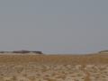dsc04453.jpg