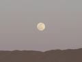 dsc04493.jpg